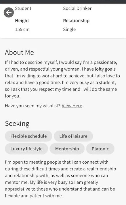 seeking.com review, profile example